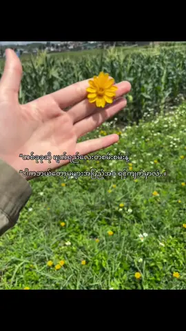 #fyp #crdစာသား #xybca #moots? #feelings 