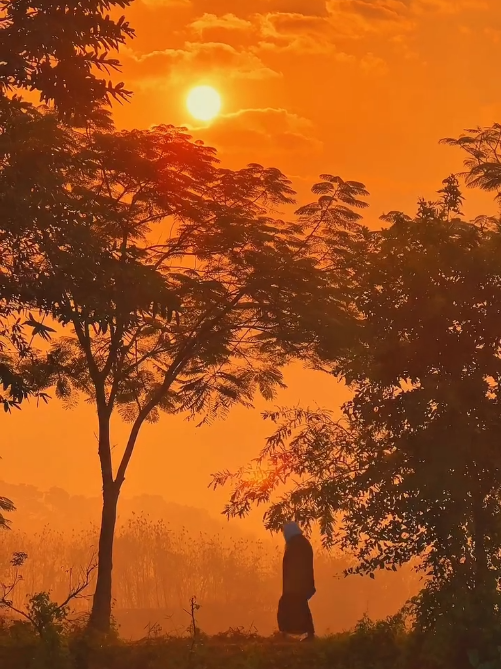 Part 475 ] আল্লাহর কসম নব বলছে নার যখন বেপর্দা হয়, শয়তান তাকেসর্বোচ্চ আকর্ষণয় করেউঁচু করে লোভনয় করে . . #islamicpost #foryou #আল্লাহ্_সর্বশক্তিমান☝️❤️🕋 