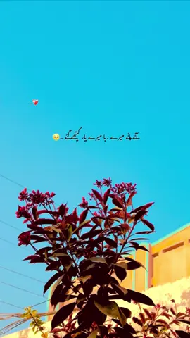 اناں پیاریاں دے مزار کتھے گئے ۔🥹❤️‍🩹 #fyp #millionaudition  #account  #sulmanedites 