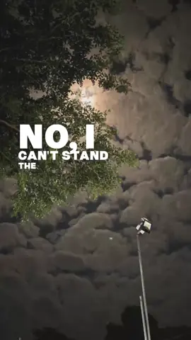 Unititled. #musiclyrics #fypシ゚viral 