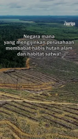 #fyppppppppppppppppppppppp #fy #kalimantan #bencanabanjir 