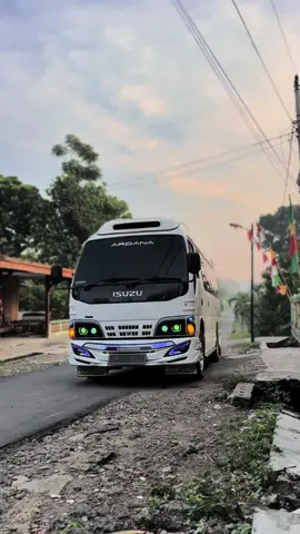 😎#elfjatenggayeng🤘 #elfmacanmodifikasi #elfadiputro #rgblights #piknik