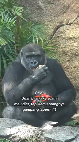 #fypp besok aja dietnya😪#jowopride #katakata #sindiran #puitekchanel 