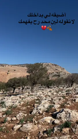 #عجلون #الاردن🇯🇴 #السلط #جرش #بلاد_الشاَم_العراق🇮🇶 