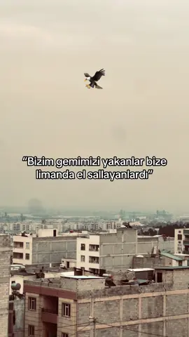 Racon sözlerinizi alalım-🦅.. #racon_story82 #raconsözler #kesfetteyiz #kesfetbeniöneçıkart #fyp 