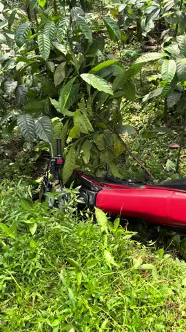 sikak😭😭 #fyp #foryou #crf150l 