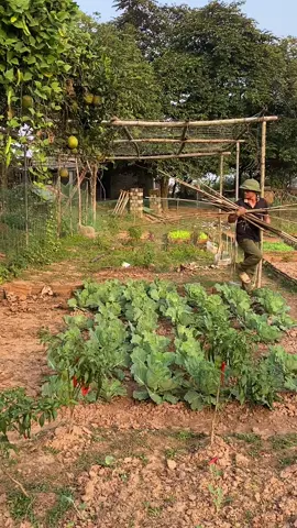 1 mắm ngải cứu và 3 qua trứng  là 2 vợ chồng xong 1 bữa #chebavi ##xuhuong #xuhuongtiktok #amthucthonque #