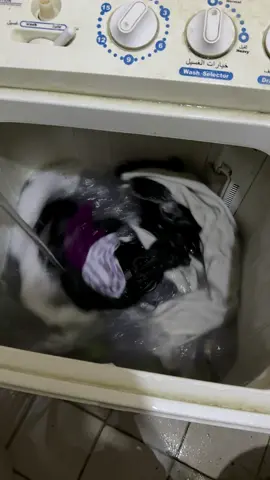 يا غسيلي 😂😂😂💔#اللمبي #essa_khater #المملكه_العربيه_السعوديه🇸🇦 #الغربه_وايامها_ربنا_يهونها #الشعب_الصيني_ماله_حل😂😂 