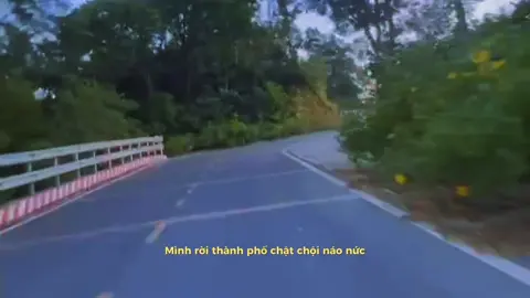 #bavi #xuhuong #cheofollow #nguoimoixaykenh