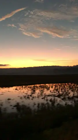 #hoanghon #xuhuongtiktok 