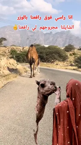 #رزيقات_تراب_الهين_نيالا_دارفور #رزيقات_السودان_الضعين_نيالا❤❤ #جاهزيه_سرعه_حسم🔥✊🥀🇸🇩 