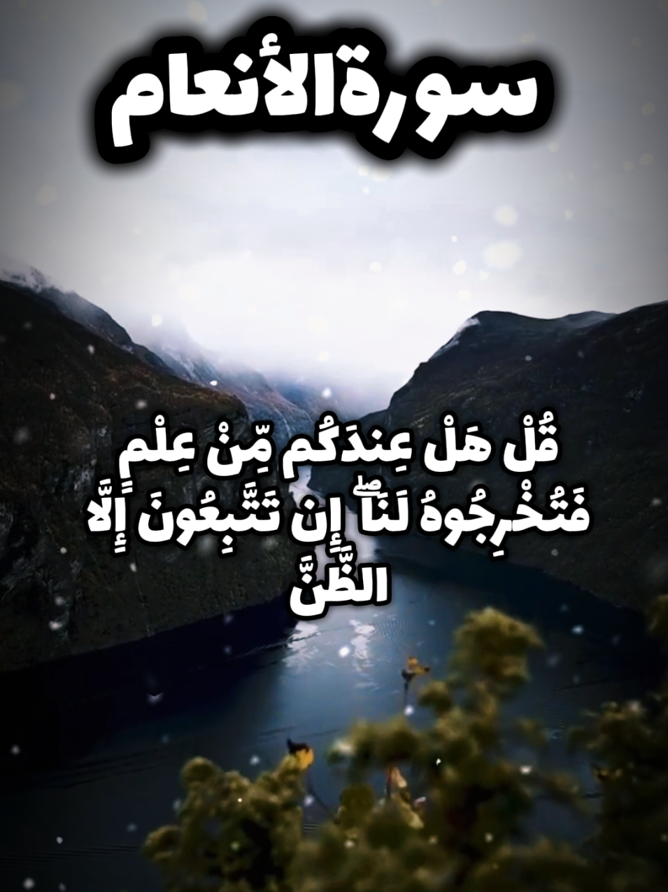 قل هل عندكم من علم فتخرجوه لنا  @A_A_A  آيات من سورة الأنعام { 148 _ 151 } بصوت القارئ ريان المحيسني 