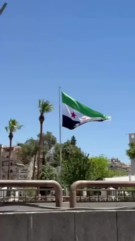 #سوريتي💚🇸🇾 #إدلب_الخضراء💚#تصميمي🫶🏻