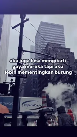 semenjak login kicau, aku kelalen carane nggaya cah 😌, dia bongkar cuma kurang hiihhh aja, tutor hu biar ngotot bgt  #kicaumaniaindonesia 