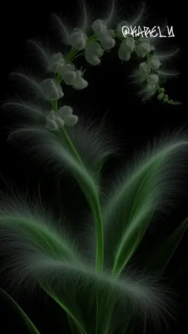 #CapCut #CapCutMotivacional #hashtagstiktok 