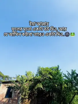 ইয়া আল্লাহ ফুলের মতো একটা বউ দিও, আর যে আমিন কইবো তারেও একটা দিও🌚🐸#fyppppooooppppppppp #trending #foryou #bangladesh🇧🇩 #foryoupage @surjo dadu @Bank Toranin @al.amin.taj3 @TikTok Tutorial @Sifat Taj @DIP BABU :) @Sakil-Raj💫 