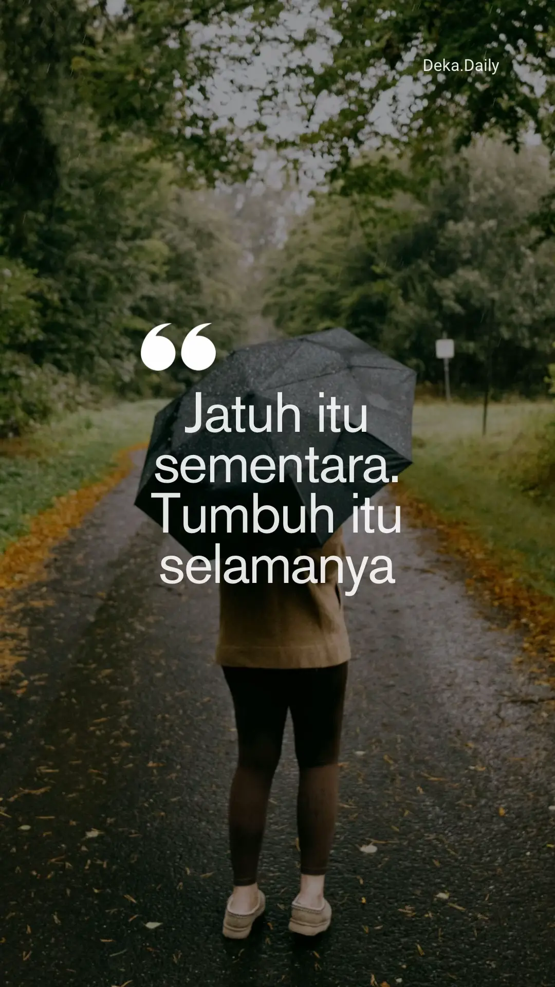 Jatuh itu sementara. Bertumbuh itu selamanya.