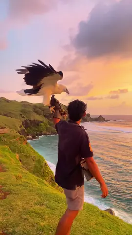 🤩🤩#fyp #bismilahfyp #lombokeagle #bukitmerese 
