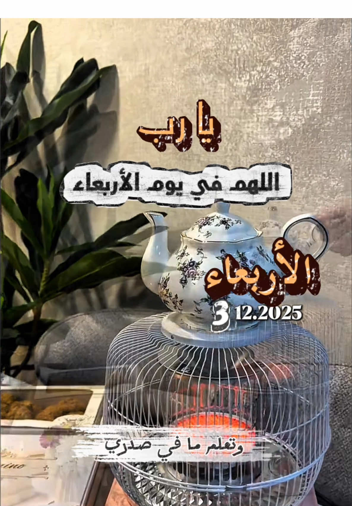 ‏🤍____🥀دعاء في يوم الأربعاء 🥀____🤍#اللهم #أمين #يارب