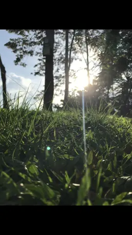 livephoto free to use#livephoto #foryoupage #trending #freetouse #nature 