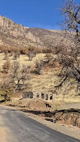 #برواري🍎 #بيدوهي🍎 #برواري_بالا🍎 