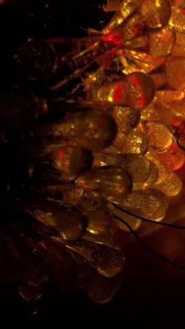 led giọt nước năng lượng mặt trời #ngoclien69camau #trangtritet 