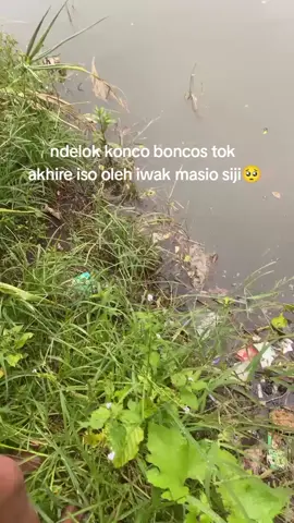 @parhann_5 akhire iso nguyu😌🥺😊 #boncos #fishing 