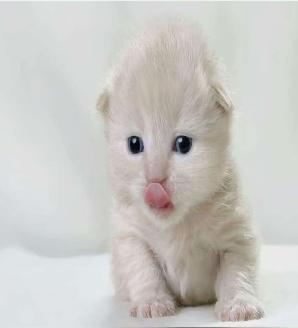 потом удалю #charlesleclerc #f1 #fyp #рекомендации @TikTok 