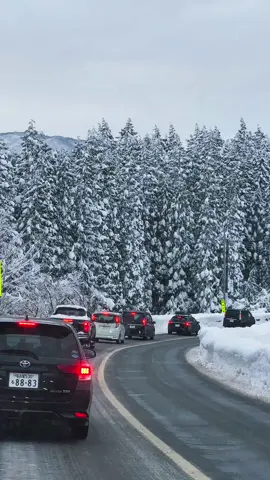#snow #shirakawago #fyp #fy#tokuteiginou 