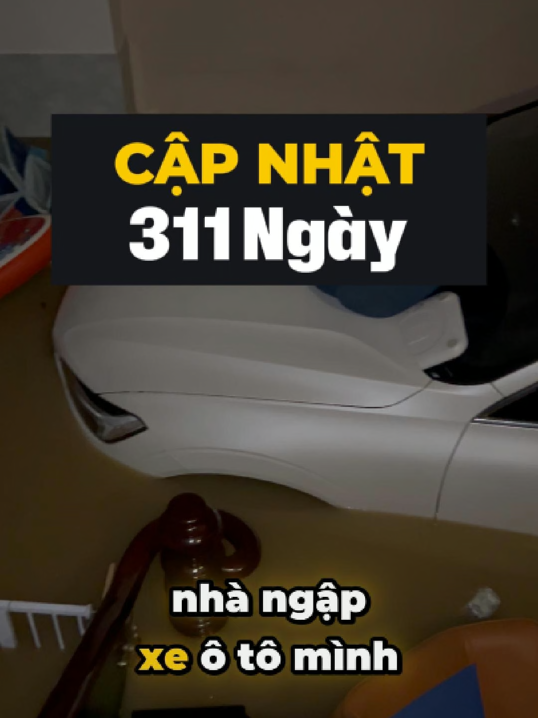Cập nhật sau 311 Ngày quyết định rời Hà Nội và chuyển tới Nha Trang của gia đình 5 người nhà mình @hiphopemayfamily #Nhatrang #500ngayroihanoi