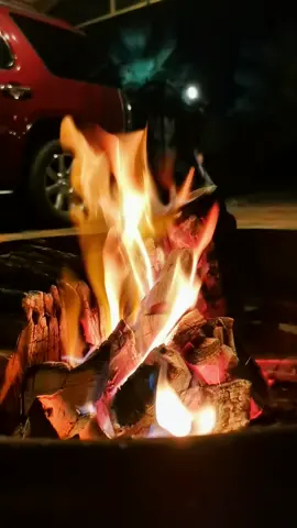 #الشتاء_البرد_اجواء_شتويه 