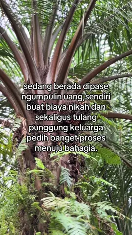 😇 #sawitpelosok14 #sawit #fyp #xybca #sawitontiktok 