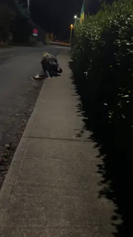 I’d hate to see her if the lads had won the match (Kilrossanty) lol 😂 