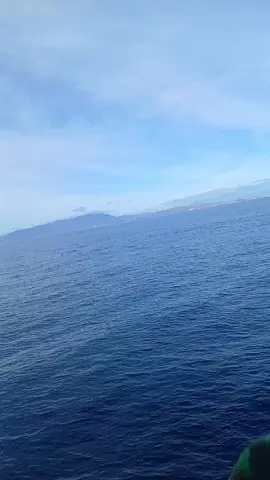 #ijinsenior🙏🏼 #nttpride🏝🔥 #nttpride🏝🔥fypシviral #nttpride🏝🔥kupangntt💯 