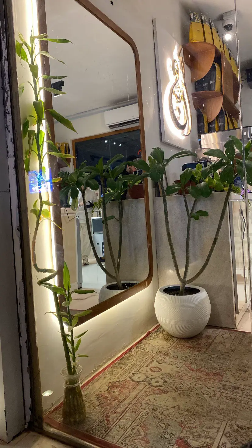 #اكسبلورexplore #اكسبلور #الباحه 