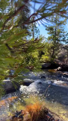 #احمد_الوائلي #الشيخ_احمد_الوائلي #الدكتور_احمد_الوائلي #الكلمة_الطيبة_تجبر_قلب_وتبني_حياة #الكلمة 