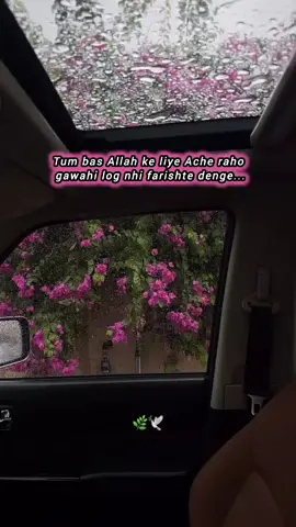 Dil ko sukoon tab milta hai jab raasta Allah ki taraf jata hai.....💞🫀✨🥰💖 🌿 Allah Attraction :- ✨ Allah ka zikr dil ko aise kheench leta hai jaise phool ko khushboo. ✨ Jitna Allah se qareeb hotay jao, duniya utni be-maani lagti hai. ✨ Allah ki mohabbat ek aisi addiction hai, jo mil jaye to har dard ka ilaaj mil jata hai. ✨ Allah se rishta nazar nahi aata, magar zindagi badal deta hai. ✨ Allah ka noor dil ko wapas usi ki taraf bulata rehta hai. ✨ Jis dil mein Allah basa ho, wahan kisi aur cheez ki jagah hi nahi rehti. ✨ Allah ki rehmat ka aik jhalak, insaan ko poori zindagi ka safar badalne par majboor kar deti hai. ✨ Allah ki taraf jo kheench le, uss kashish ka naam mohabbat-e-Ilahi hai. ✨ Allah ko paana mushkil nahi, bas apna dil kholna padta hai. ✨ Jis ne Allah ko jaan liya, usay duniya ne kabhi impress nahi kiya. #creatorsearchinsights #standwithpalestine  #foryoupage #tiktok  #viralvideo 