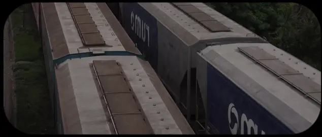 سورة القصص | الآية  16 - 17 القارئ : #علي_جابر  #قران #quran #quran_alkarim⁩  