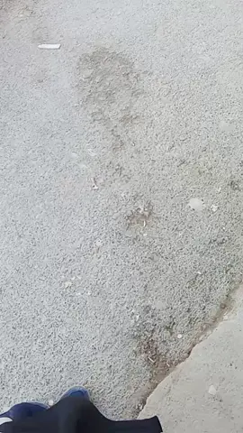 #creatorsearchinsights #LIVEIncentiveProgram #LIVEFEST2025 #MakeLIVECount #PaidPartnership 