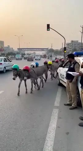 #creatorsearchinsights 