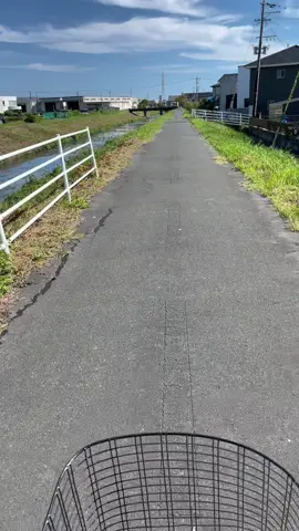 Jadi poho lirik aslina euy😂#jepangindonesia🇯🇵🇲🇨 #sundajapan🇲🇨🇯🇵 #perantau 