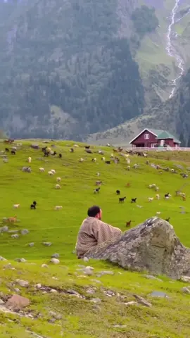 #roadtrip #travel #nature #mountains #fyp 