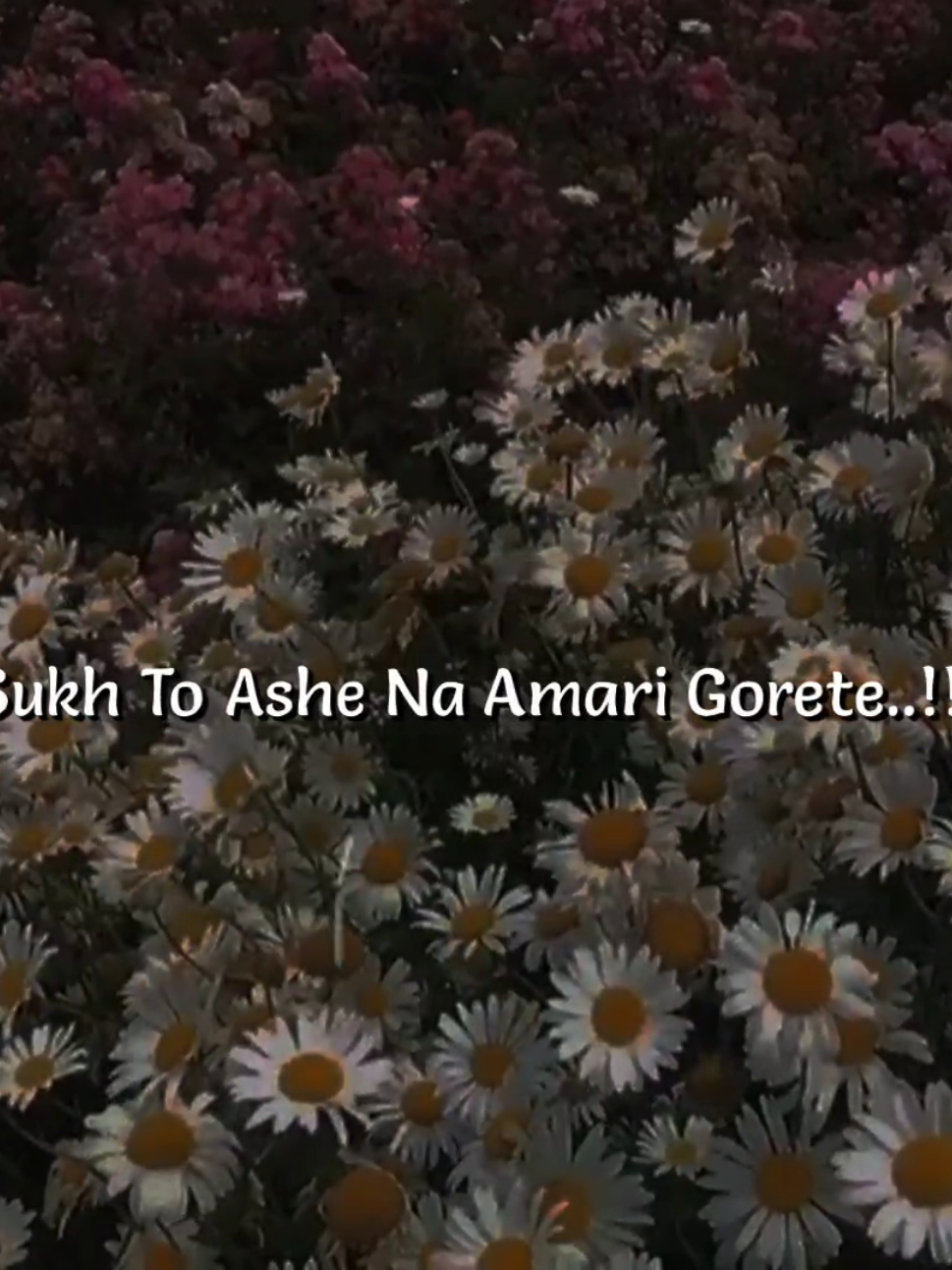 Feel This Song  #its_me_fahim_12 #lyrics_songs #foryou #viraltiktok #viralvideo @TikTok @For You 