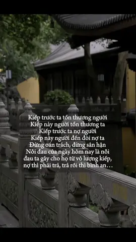 Không oán trách cũng chẳng mong cầu. Đời này chỉ thế thôi…#đạophậtvàđờisống #phatphap 