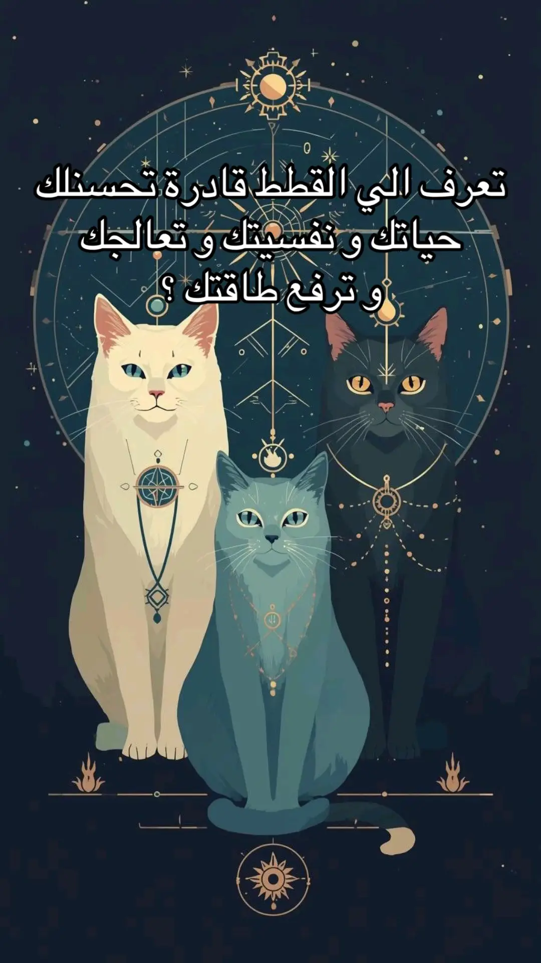 #tunisia🇹🇳 #tarotreader #fyp #tarot #astrology 