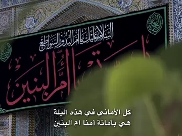 يا ام البنين تلكه الامنيه 😔💙💙 #يااباعبدالله #ياأبا_الفضل_العباس #قصائد_حسينية #باسم_الكربلائي #مالي_خلق_احط_هاشتاقات 