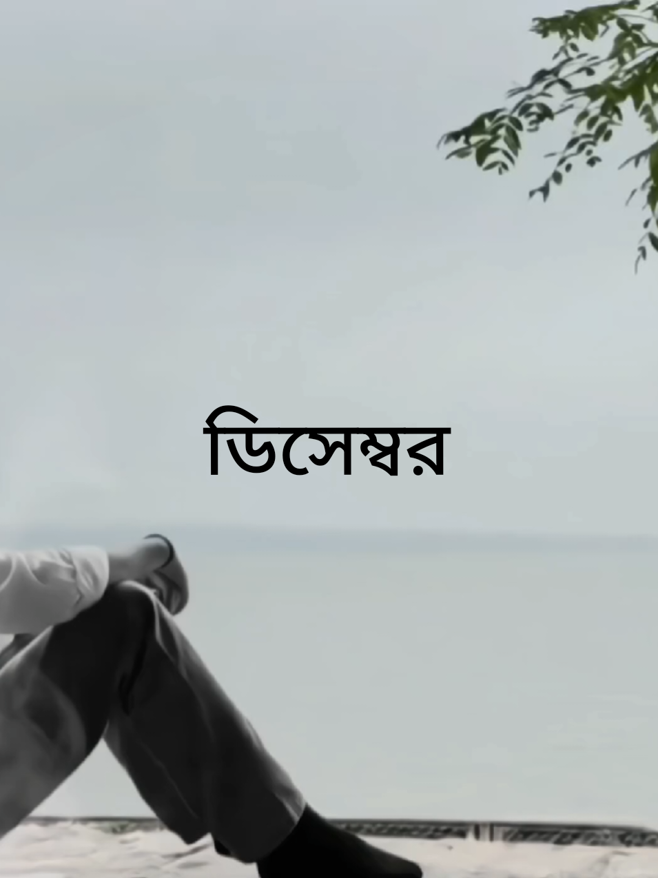 ডিসেম্বর 🙂 #vairal  #foryou  #everyone  #foryoupage  #vairalvideo 