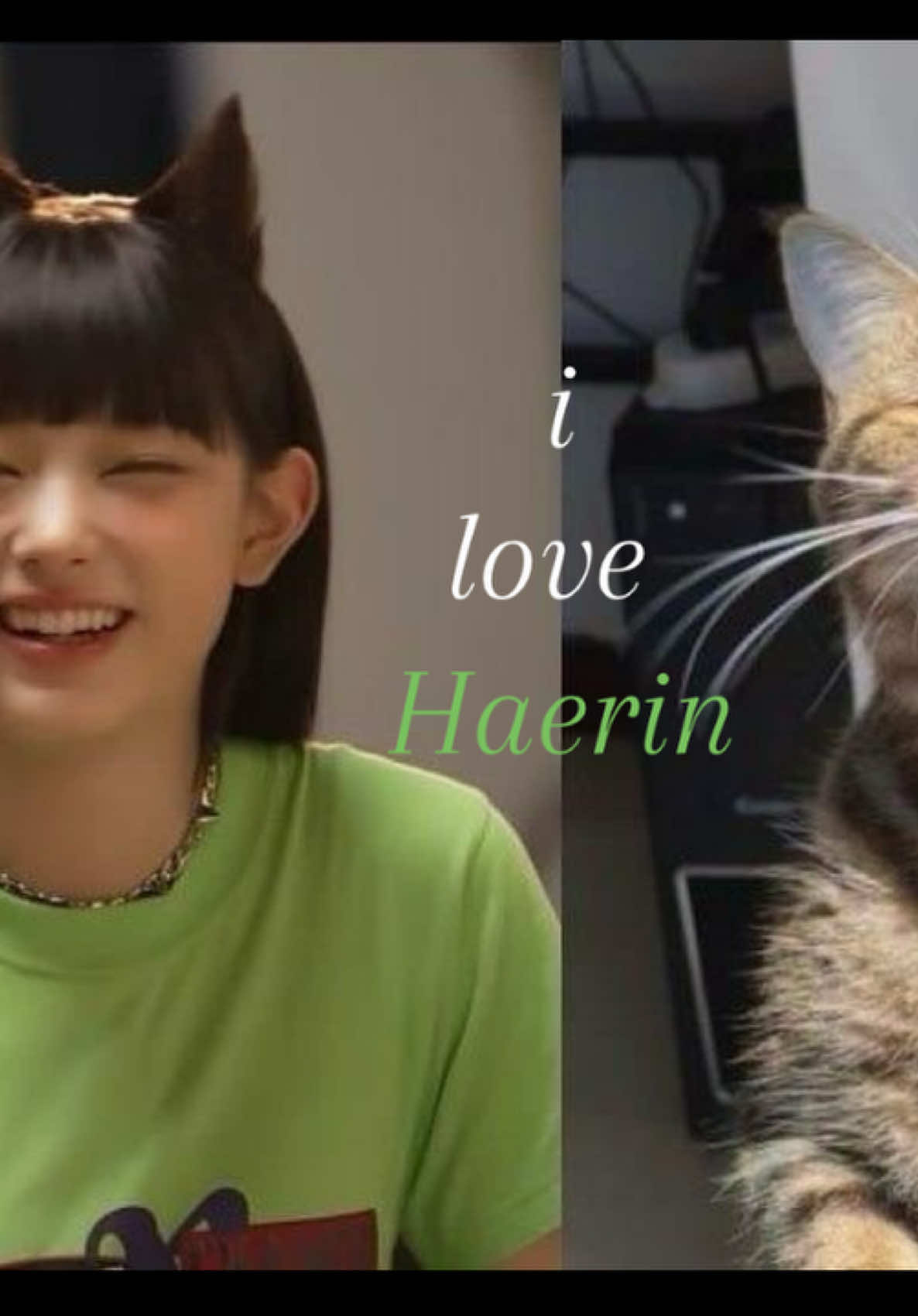 #HAERIN I KNOW THE 2ND PICTURE IS WONHEE I PRESSED THE WRONG PICTURE 💔#newjeans #cat  #viral #fypppppppppppppp 