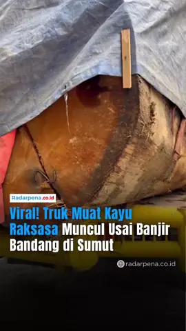 Sebuah video viral memperlihatkan truk besar bermuatan kayu gelondongan raksasa melintas di wilayah Sumatra Utara, hanya beberapa hari setelah banjir bandang menghantam kawasan tersebut. Kayu berdiameter besar itu diduga berasal dari hutan di sekitar Sibolga–Tapanuli Tengah, yang kini masih dalam masa pemulihan pascabencana. Kemunculan truk bermuatan kayu ini memicu kemarahan publik. Banyak warganet menduga aktivitas deforestasi dan pembalakan liar menjadi salah satu faktor yang memperparah bencana yang terjadi. 🎥: dimposmanalu —- #Radarpena #RadarpenaNews #SumateraUtara #Sibolga #TapanuliTengah      