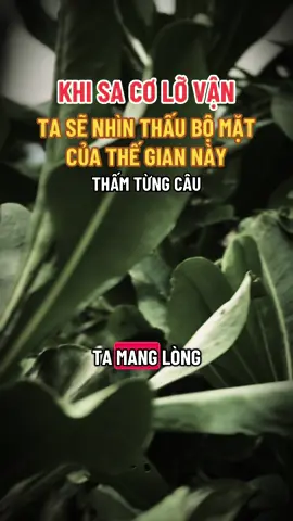 Khi sa cơ lỡ vận #ngộ_để_an #phatphapnhiemmau #xuhuongtiktok #cliptrieuview #trending 